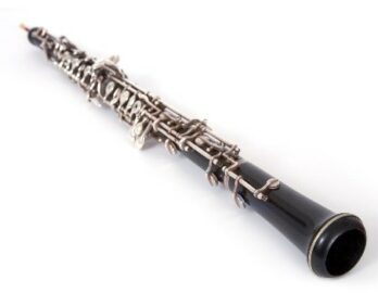 Hier sieht man eine Oboe.